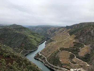 an aerial view of a river in a canyon at Casa Catalina - Ribeira Sacra in Abeleda