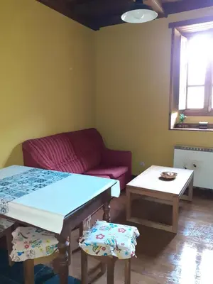 a living room with a couch and a table at OSO3 in Pola de Somiedo