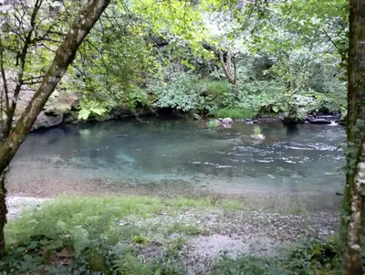 a pool of water in a river with trees at A casa do pozo - AS CASAS DO POZO - in Folgoso