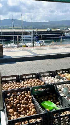 a bunch of bins of food on a street at The Cliffs A Ribeira - Peizas in Foz