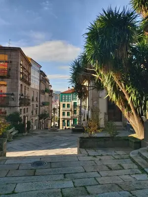 a city street with a palm tree and buildings at YourHouse Aldo in Ourense