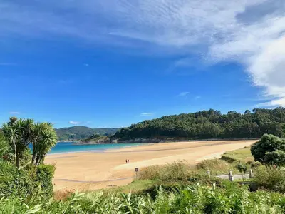a beach with a palm tree and the ocean at The Cliffs - AT Seiramar in Viveiro