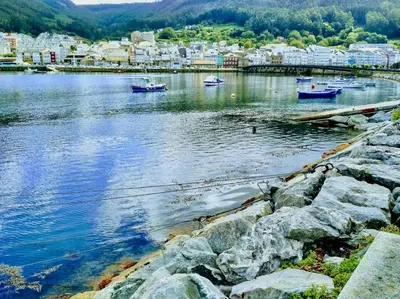 a large body of water with boats in it at The Cliffs - AT Seiramar in Viveiro