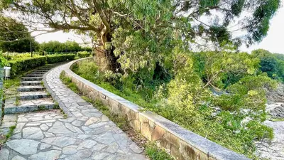 a stone path next to a tree and some bushes at The Cliffs - AT Seiramar Area in Viveiro
