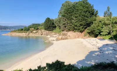 a sandy beach next to the water with trees at The Cliffs - AT Seiramar Area in Viveiro