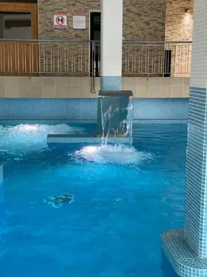 a dog is in a swimming pool at Apartamento Rammari Spa in San Miguel de Reinante