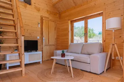 a living room with a couch and a tv in a cabin at Cabañas de Allariz - Cabaña 2 in Allariz