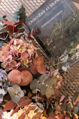 a display of plants and a book on a table at Caño in Pincelo
