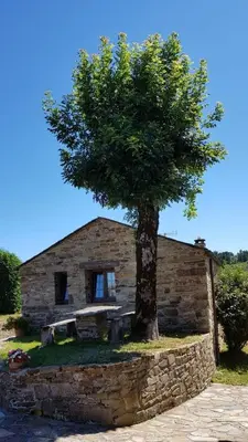 a stone house with a tree in front of it at Apartamentos rurales Casa Do Cabo in Vega de Logares