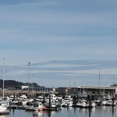 Viveiro