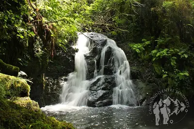 a waterfall in the middle of a forest at Stone Cottage FISTERRA in Curtis