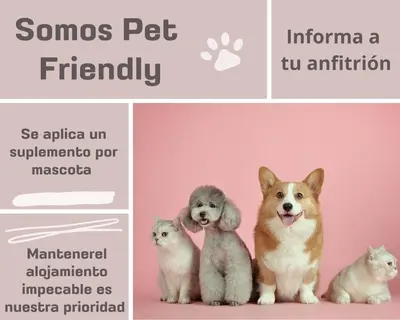 a dog and two cats sitting next to each other at Antolín Yellow Door in Ponferrada