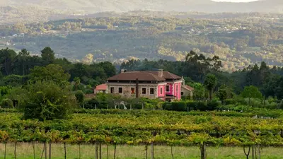 a house in the middle of a field of vines at Casa Beatnik Country House in Santiago de Compostela